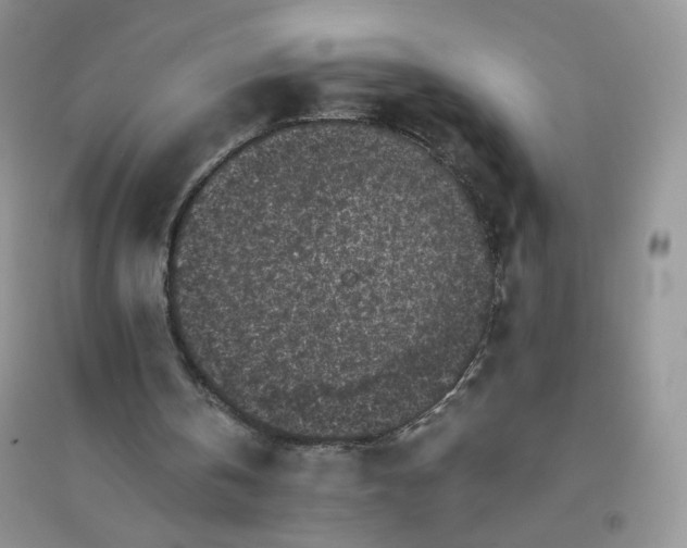 X0000096380146200802071521