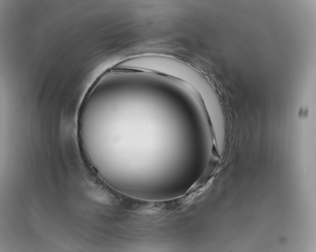 X0000096380148200802071521