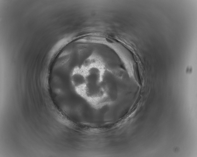 X0000096380149200802071521