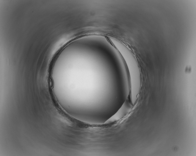 X0000096380150200802071521