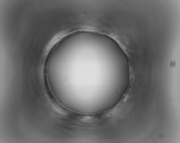 X0000096380151200802071521