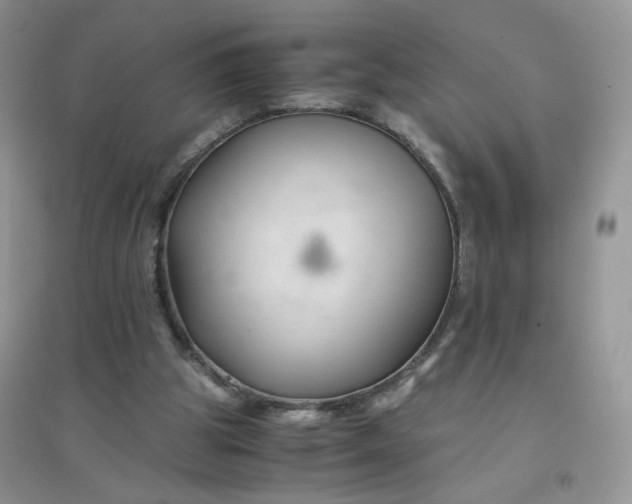 X0000096380153200802071521