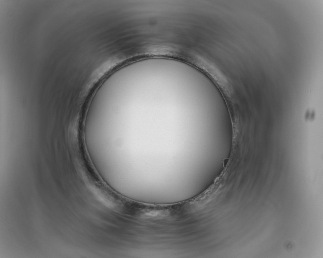 X0000096380155200802071521