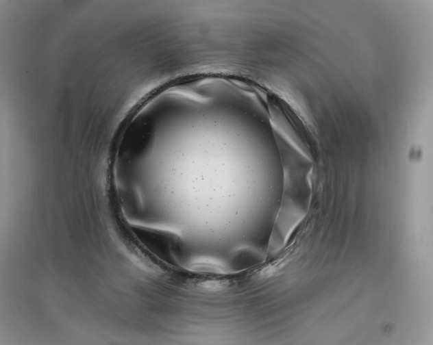 X0000096380156200802071521