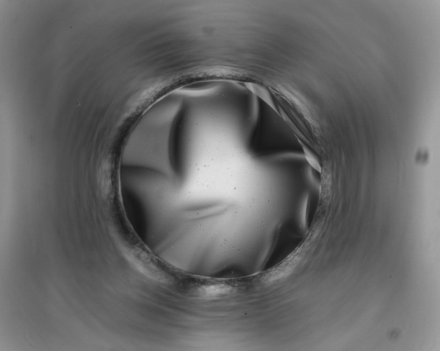 X0000096380158200802071521