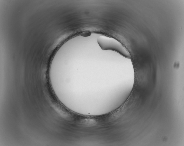 X0000096380159200802071521