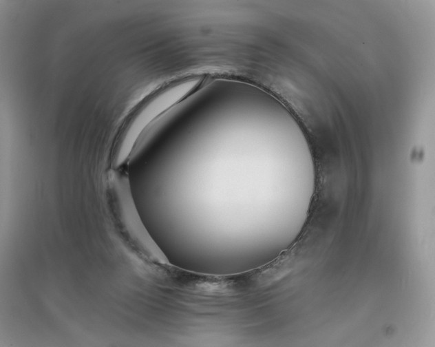 X0000096380160200802071521