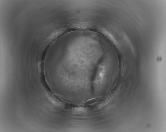 X0000096380161200802071521