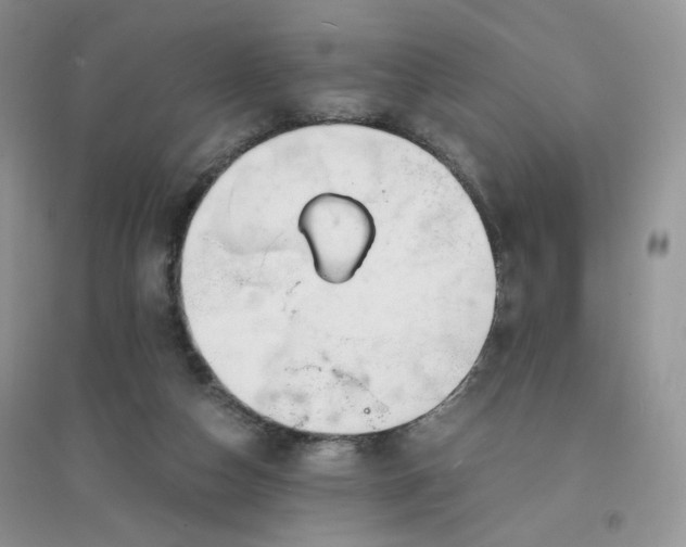 X0000096380162200802071521