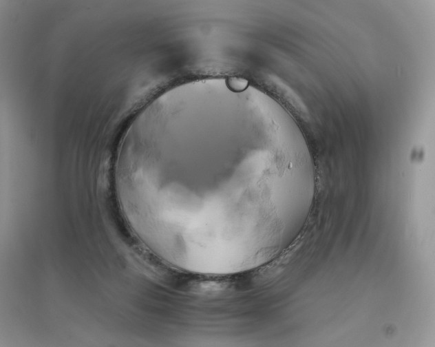 X0000096380163200802071521