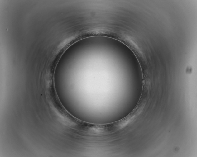 X0000096380164200802071521