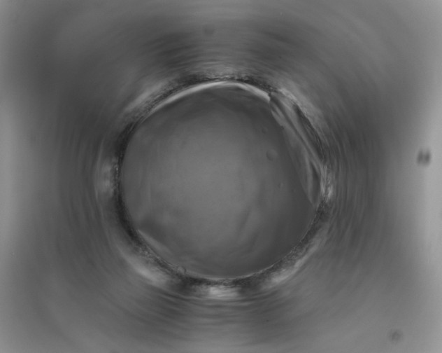 X0000096380165200802071521