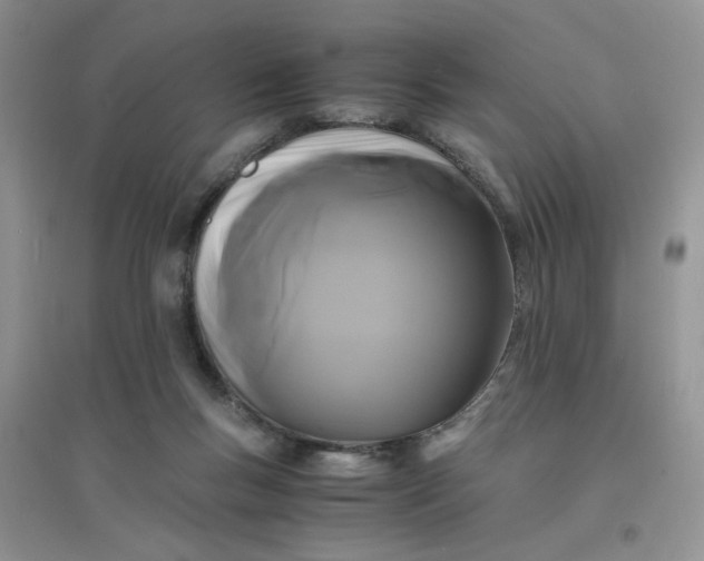 X0000096380167200802071521