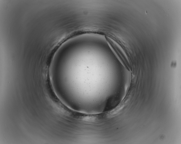 X0000096380168200802071521