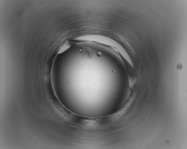 X0000096380170200802071521