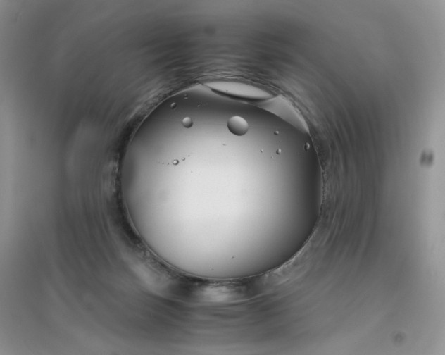 X0000096380171200802071522