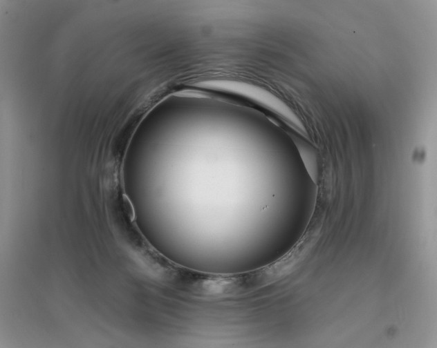 X0000096380172200802071522