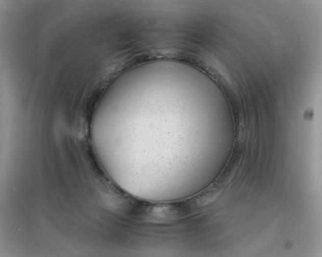 X0000096380173200802071522