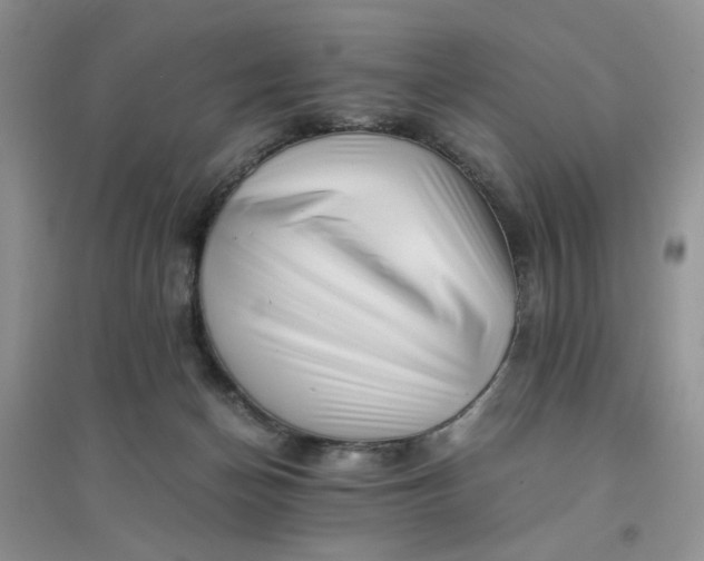 X0000096380174200802071522