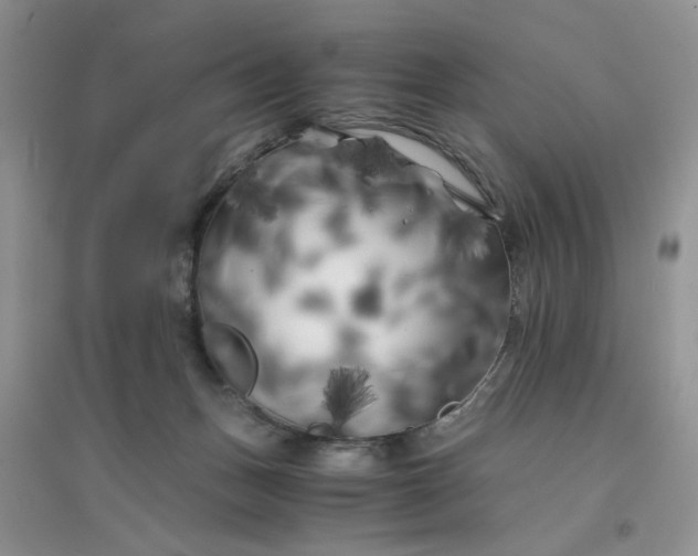 X0000096380175200802071522