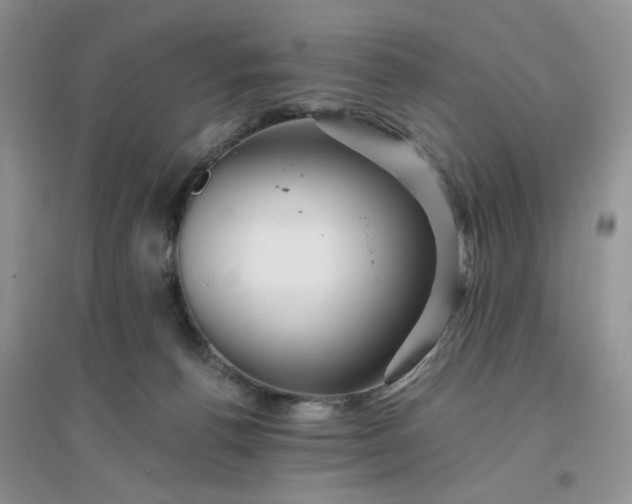 X0000096380176200802071522