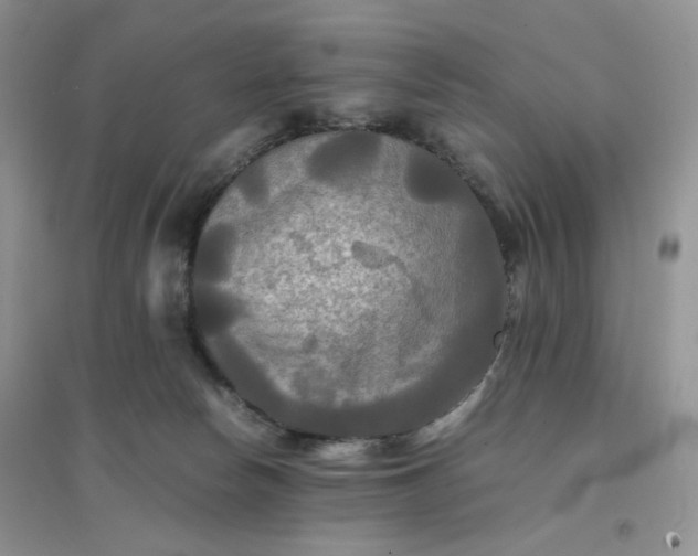 X0000096380178200802071522