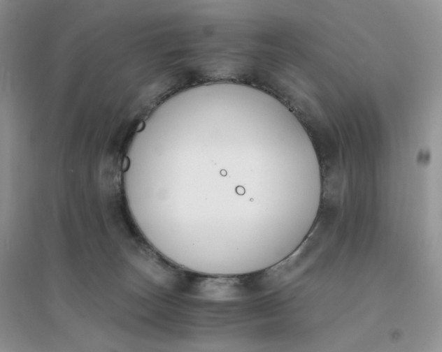 X0000096380179200802071522