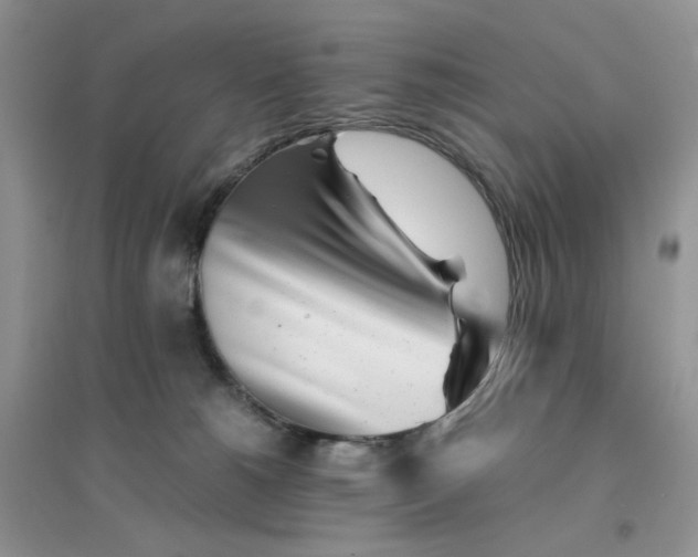 X0000096380180200802071522