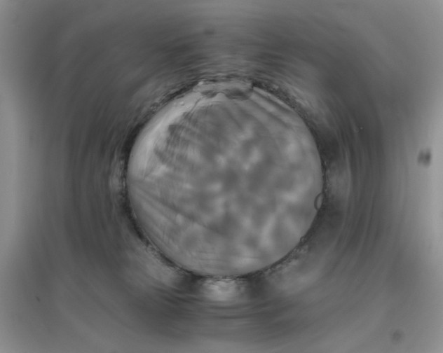 X0000096380181200802071522