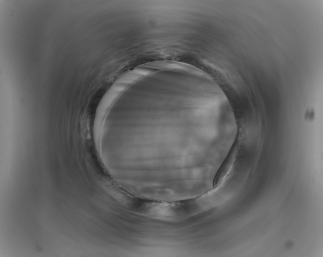 X0000096380182200802071522