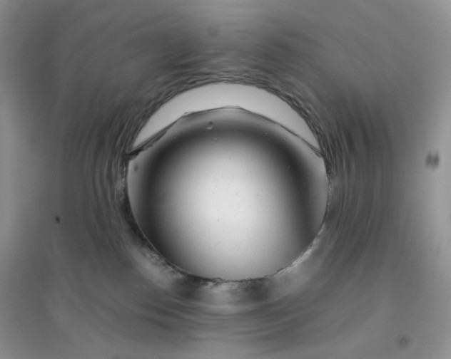 X0000096380186200802071522