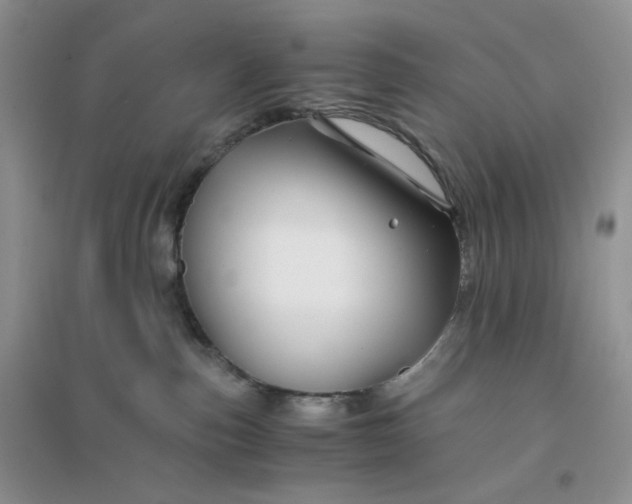 X0000096380187200802071522