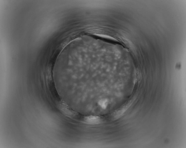 X0000096380189200802071522