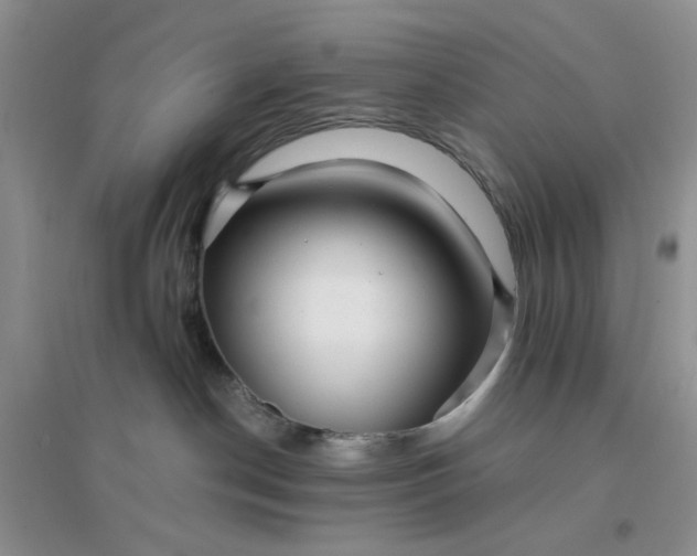 X0000096380190200802071522