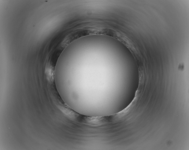 X0000096380191200802071522