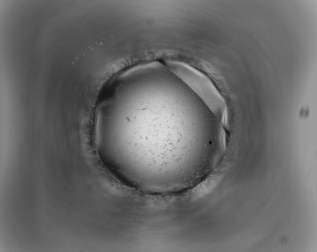 X0000096380192200802071522