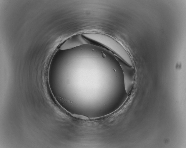 X0000096380193200802071521