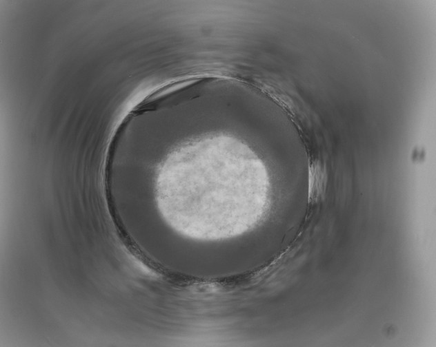 X0000096380195200802071521