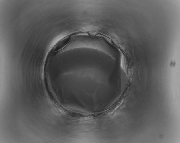 X0000096380196200802071521