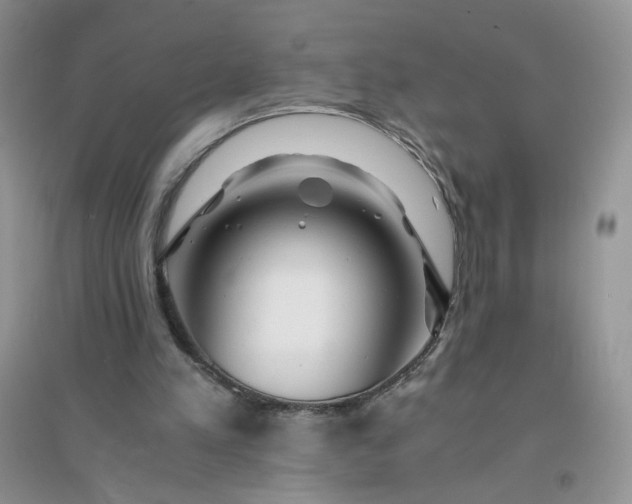 X0000096380197200802071521