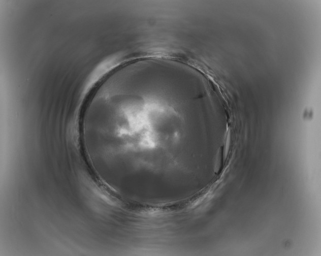 X0000096380198200802071521