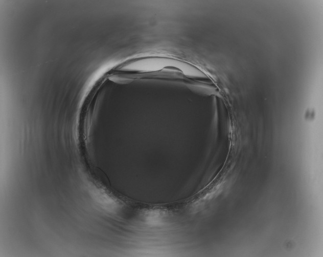 X0000096380200200802071521