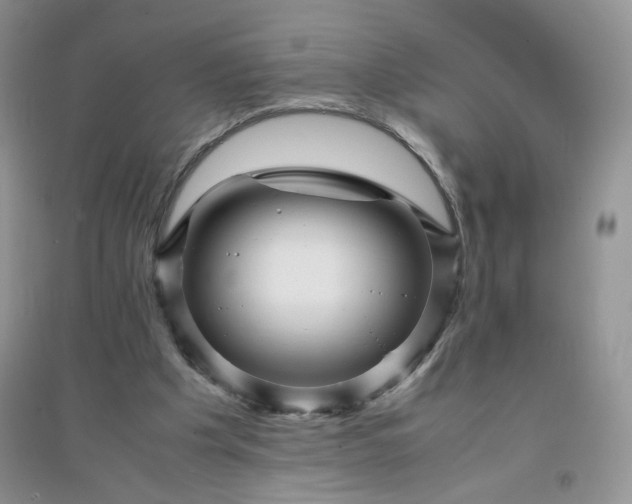 X0000096380201200802071521