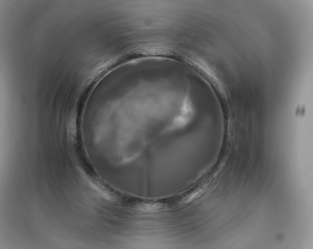 X0000096380202200802071521