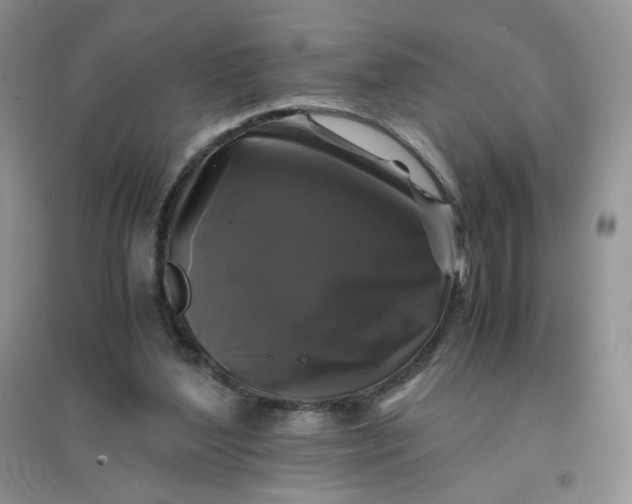 X0000096380204200802071521