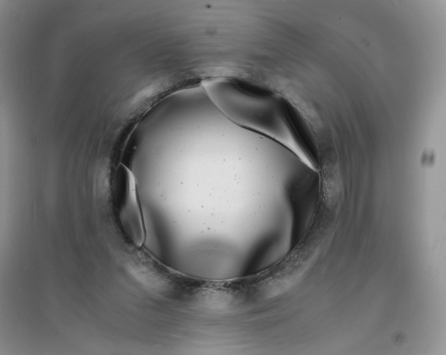 X0000096380207200802071521