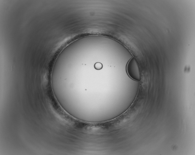 X0000096380208200802071521