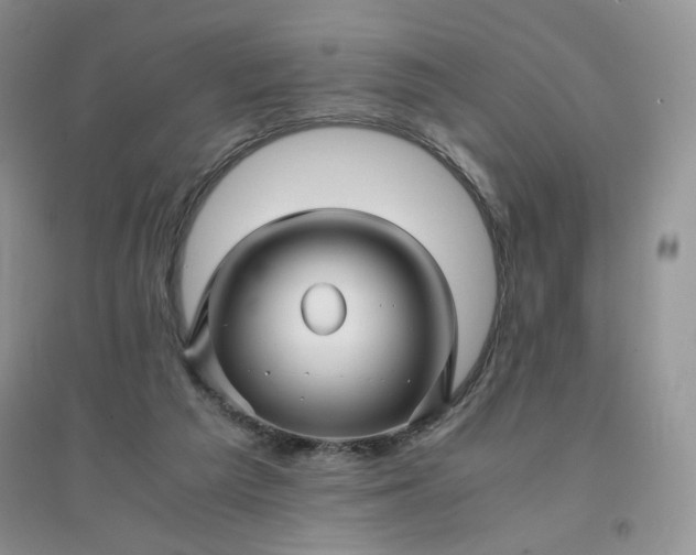 X0000096380209200802071521