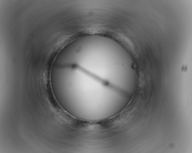 X0000096380210200802071521