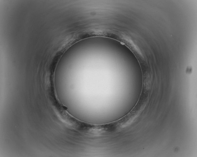 X0000096380213200802071521